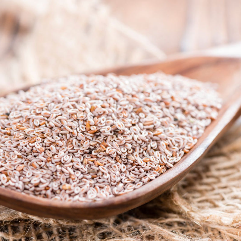 Les bienfaits santé du psyllium