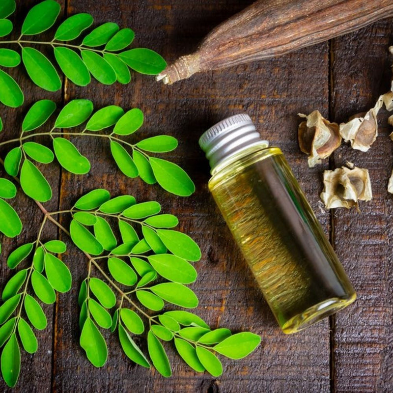 Le moringa : bienfaits, utilisations et contre indications