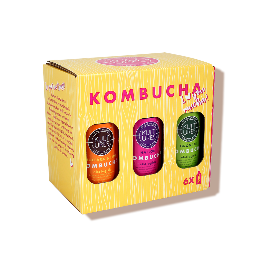 Pack de 6 kombucha