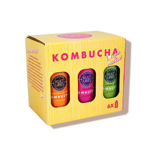 Pack de 6 kombucha