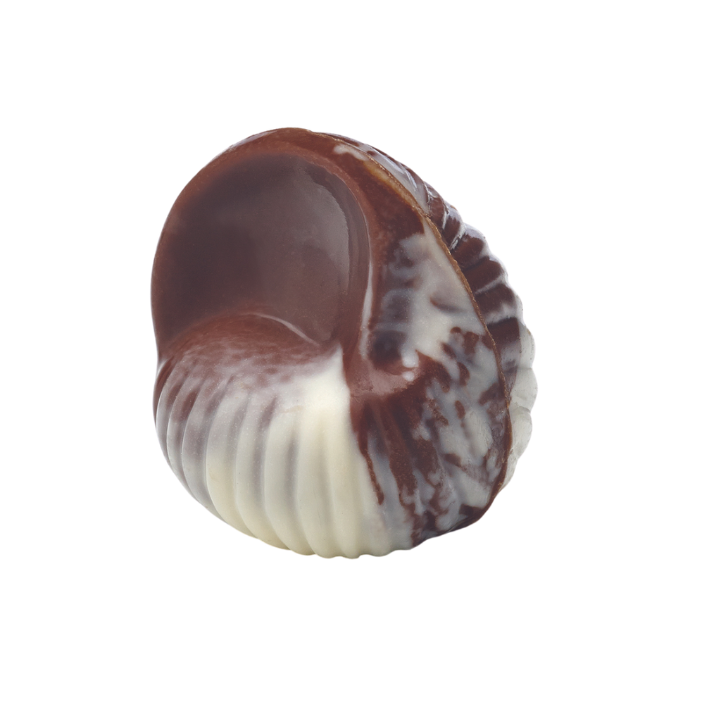 Boîte de chocolats en forme de coquillage