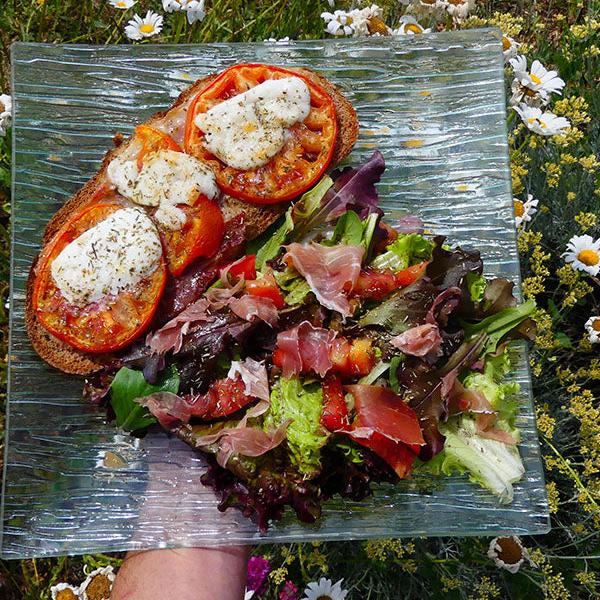 Tartine gourmande herbes de provence