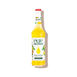 Sirop non sucré mangue passion monin