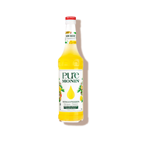 Sirop non sucré mangue passion monin